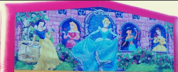 Disney Princess Queens Castle Bounce House