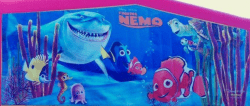 Finding Nemo Module  Bounce House With A DRY Slide