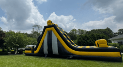 Screenshot202025 06 1320072641 1749814046 20 FT Venom Double Lane Slide/ Rock Wall (DRY Slide)