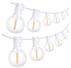 Lights 40 FT x 20 FT High Peak Tent